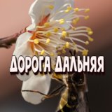 Дорога дальняя