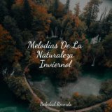 Melodías De La Naturaleza Inviernol