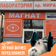 Ммцлд Магнат