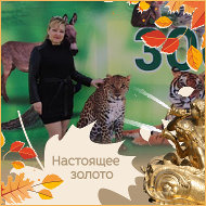 Снежана Профи