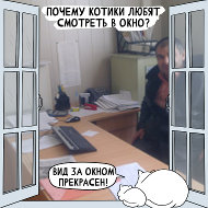 Рамазан Кадыров