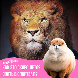 Фотография от Mc DONI