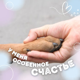 Фотография от Animal Help🐶🐕