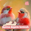 Фотография от Л а н а 💖🌷🌷🌷 🦞🍀🍀🍀☘