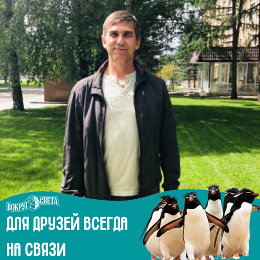 Фотография от Андрей Мельников