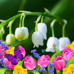 Фотография "вербочка цветет
и холод проникает
в душу живую
а сердце знает весна
пришла ласкает солнце
Зоя МИщенко"