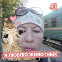 Фотография от татьяна авдеева(малова)