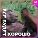 Фотография от Виталий Козел