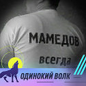 Фотография от мамедов ✔ -