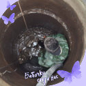 Фотография от Копка углубление Чистка питьевых колодцев