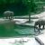 В зоопарке Сеула слоны-родители вместе вытащили из бассейна упавшего туда слоненка. Хиты интернета