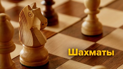 Скачать шахматы  Скачать игру бесплатно на компьютер на русском