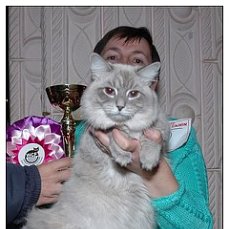 image?id=513325252301&t=52&plc=WEB&tkn=*WRHe7DPtQR7Q1F5GOoZuDLZE8d0