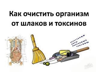 Картинки по запросу очищение организма от шлаков