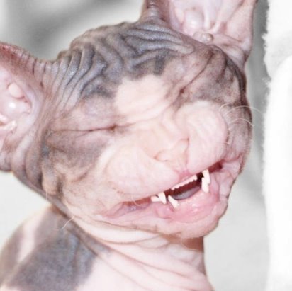 Посмеялся сам - поделись с другом!!!