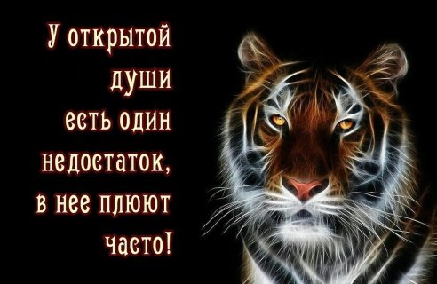 Похожее изображение