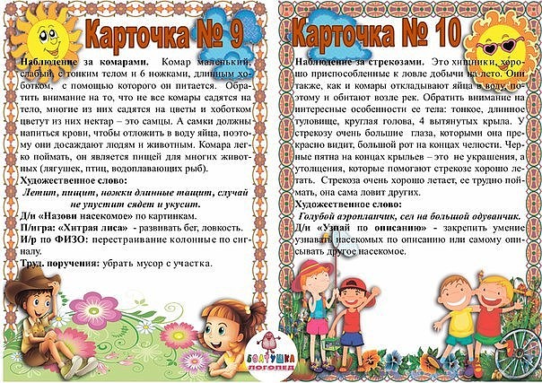 Проект старшая группа летом Проект старшая группа летом