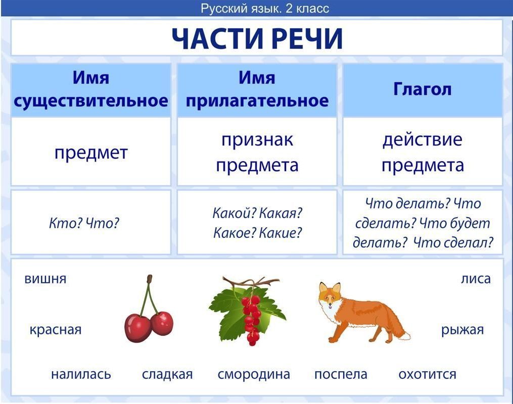 Правила руускийязык для 1 класса