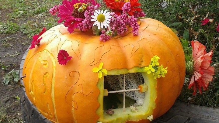 Домик из тыквы пошагово с фото Домик из тыквы пошагово с фото