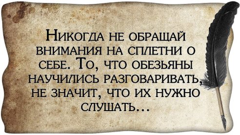 Картинки по запросу Аккуратность — это вежливость по отношению к самому себе.