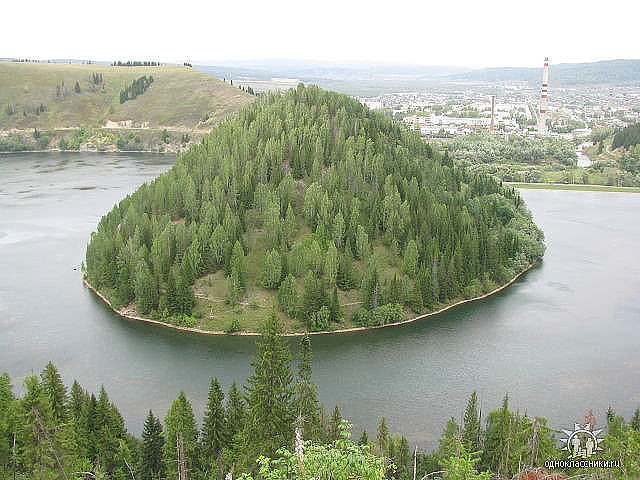 Жукова шишка фото Жукова шишка фото