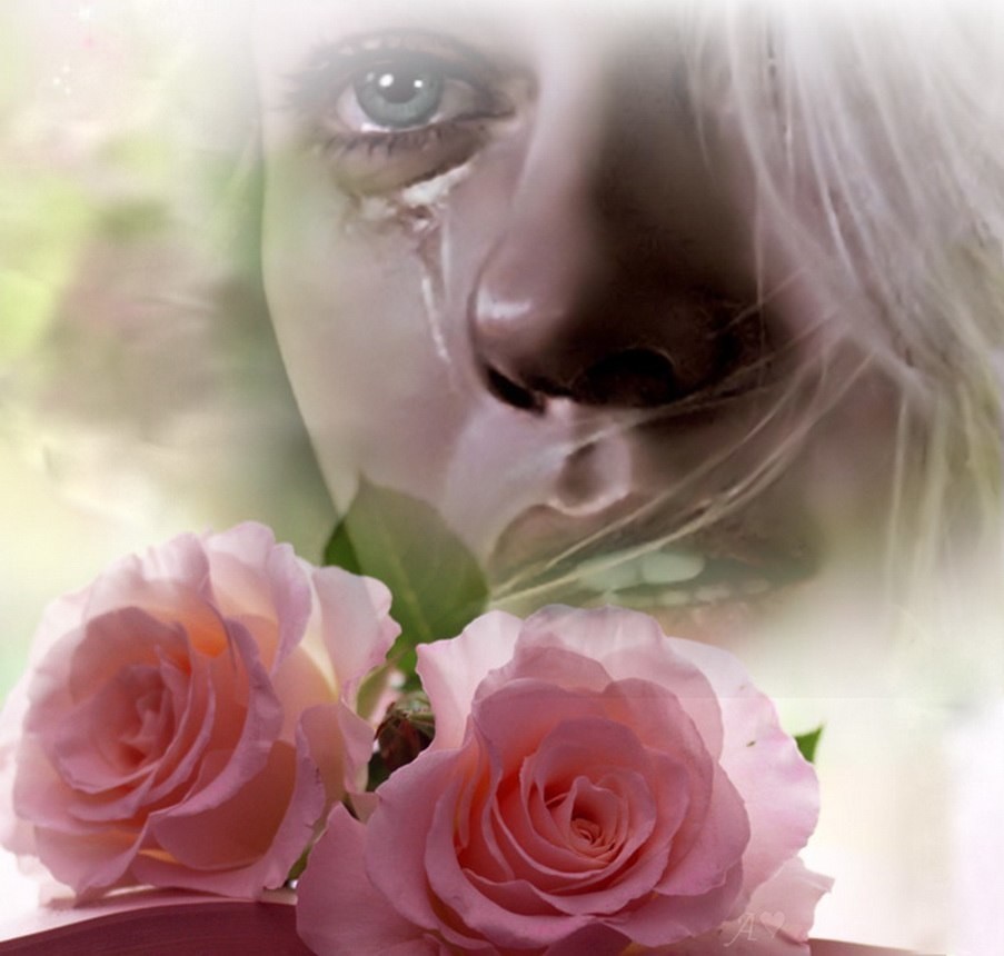 Ты нравишься моей маме ухоженной. Цветок слезы. Цветок печали. Цветы грусти и печали. Открытки с печалью и слезами.