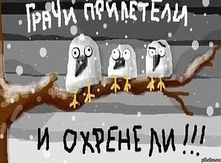 Приколы - Страница 15 Image?id=854126660237&t=0&plc=WEB&tkn=*ae7UAbwFaqLhRYDEMOCap91scV4