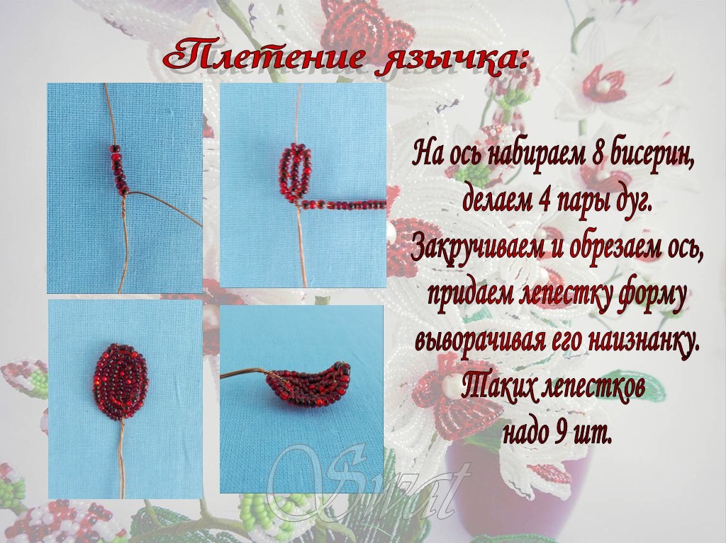 Орхидеи Image?id=854312046893&t=3&plc=WEB&tkn=*4fu_lNH7jc-Lna9GNXZ5mANMrZs