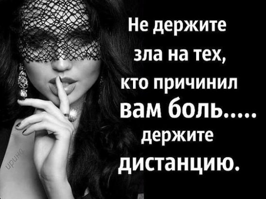 Похожее изображение