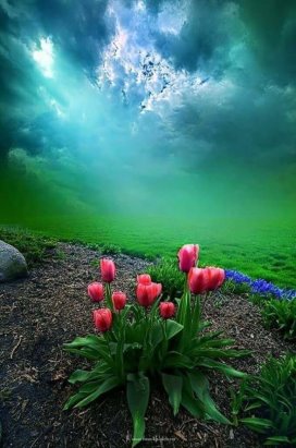 Чайная беседка