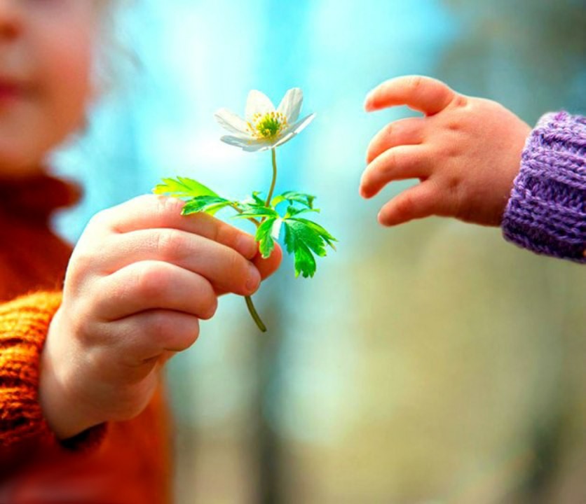 Вижу добро фото Вижу добро фото