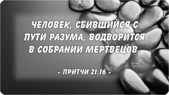 Картинки по запросу ОСИМ ХАИМ - НАСЛАЖДАЙСЯ ЖИЗНЬЮ ЗДЕСЬ И СЕЙЧАС