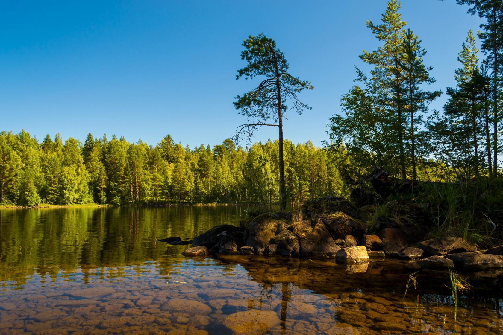 Водами онеги. Хайнозеро Онежский район. Озеро Хайнозеро. Онежское озеро Петрозаводск. Онега озеро.