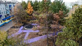 Фиолетовый асфальт и оранжевые бордюры: в Сети высмеяли обновленный сквер в Комсомольске-на-Амуре