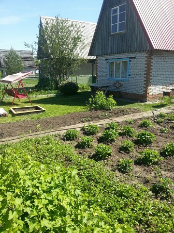 Купить дачу в новоалтайске с фото Купить дачу в новоалтайске с фото