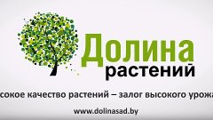 Долина Растений Интернет Магазин Москва