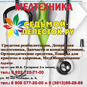 Седьмой Лепесток Златоуст Интернет Магазин Каталог
