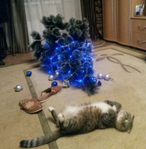 Каждый год я роняю ёлку...Такая традиция Каждый год я роняю ёлку...Такая традиция