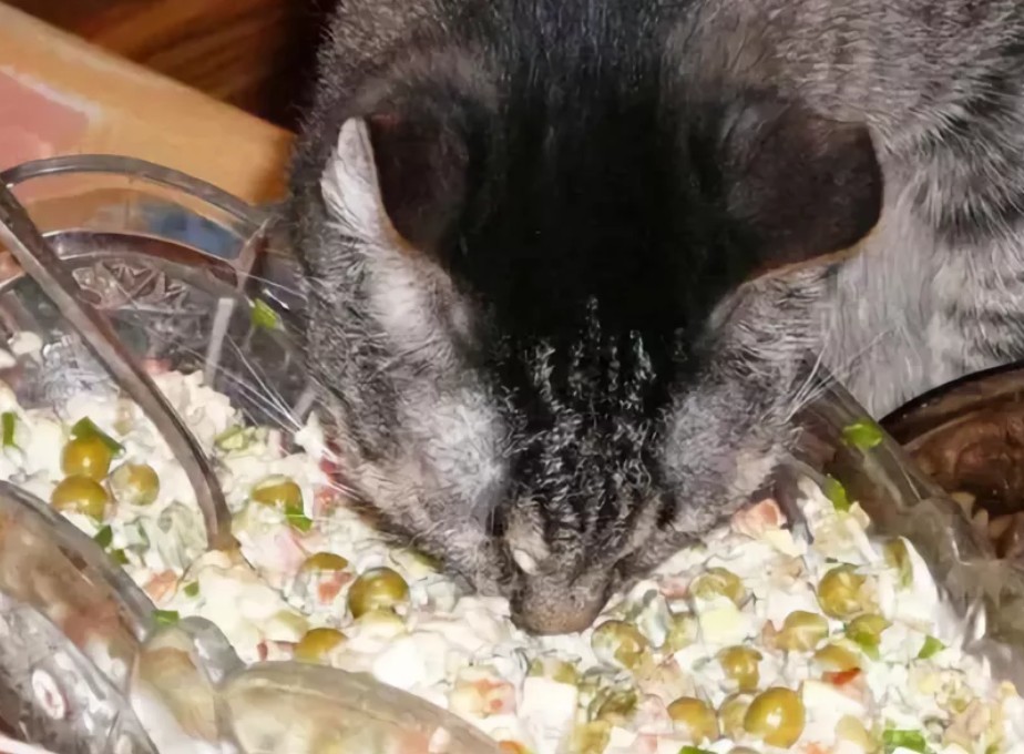 Каждый год я роняю ёлку...Такая традиция Каждый год я роняю ёлку...Такая традиция