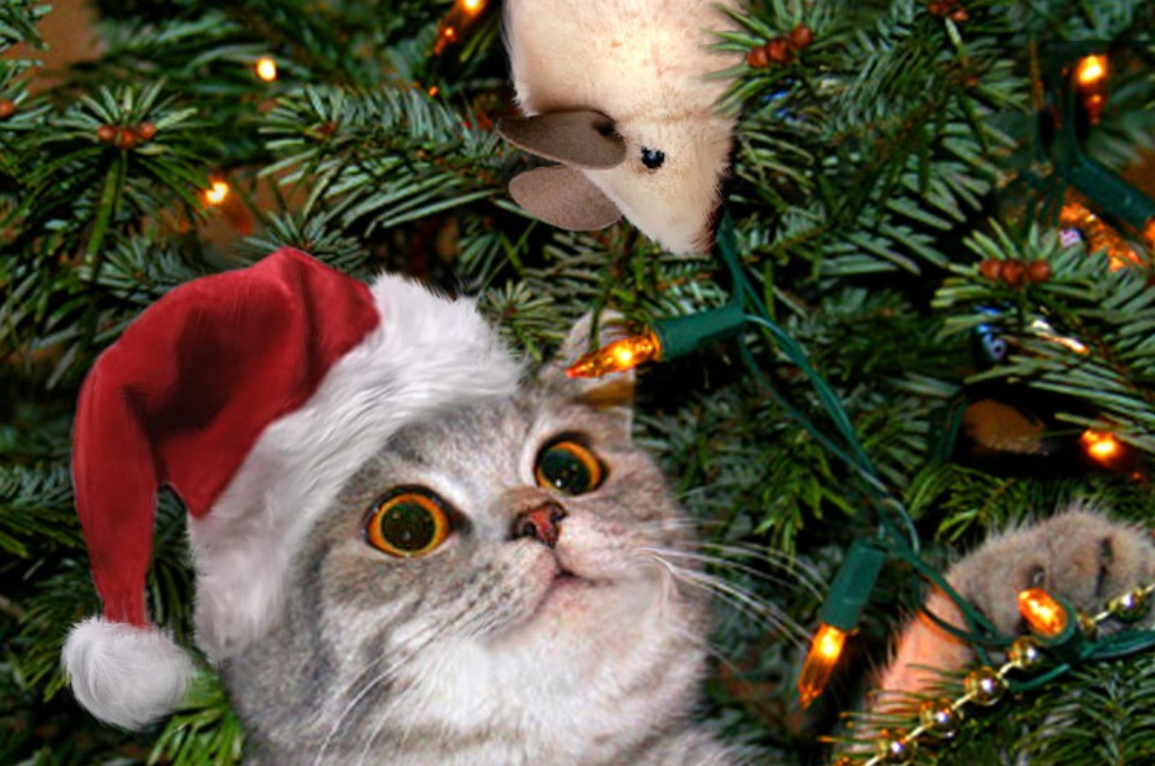 Каждый год я роняю ёлку...Такая традиция Каждый год я роняю ёлку...Такая традиция