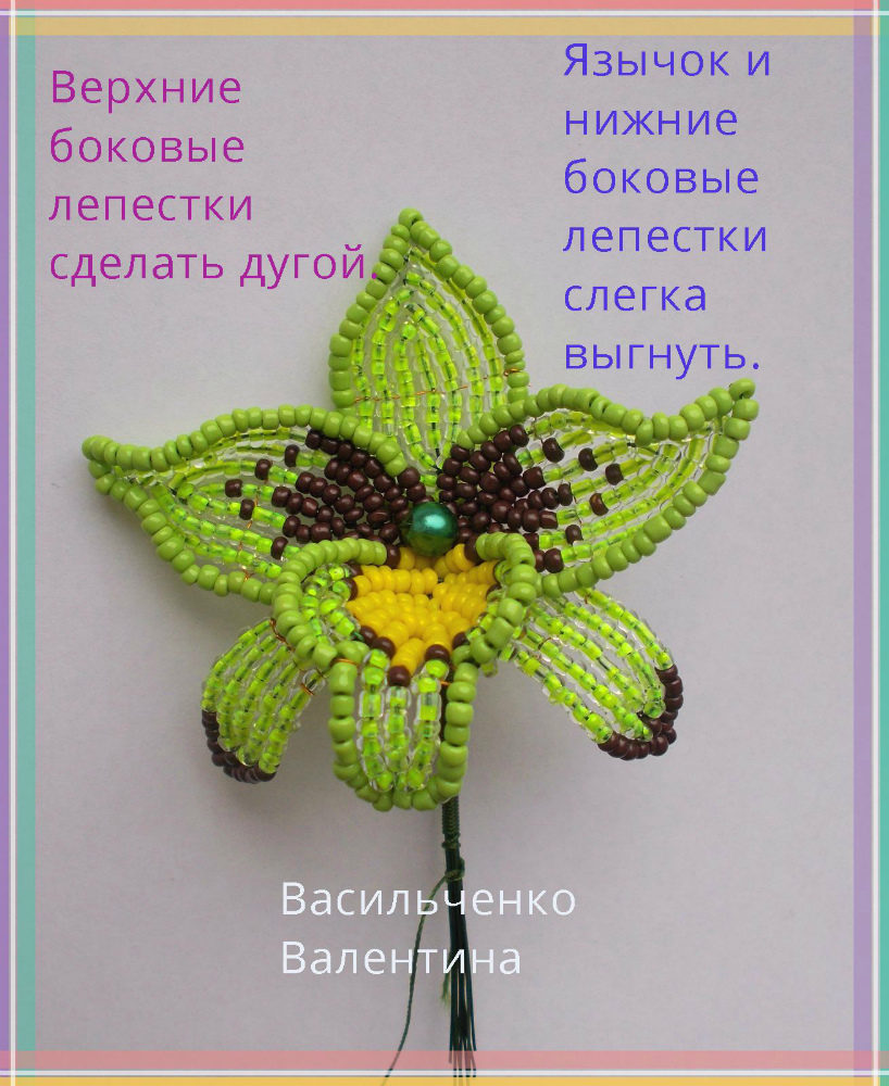 Орхидеи Image?id=863083148522&t=3&plc=WEB&tkn=*coyfFGHus7NtBb8AkRHZ2M9OtlI