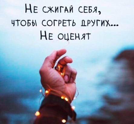 Картинки по запросу Никогда не спорьте с дураками