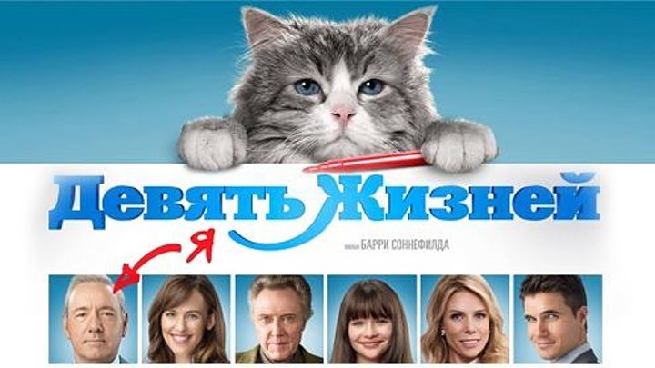 9 жизней московская ул 4 фото 9 жизней московская ул 4 фото