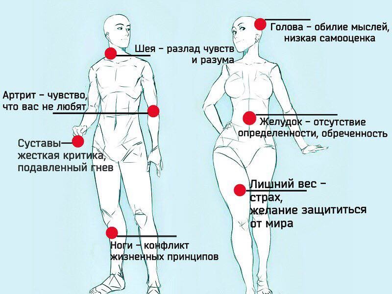 Список болезней, вызванных негативными эмоциями Image?id=864116952246&t=3&plc=WEB&tkn=*_reS7nNam8gZtGhBKleFROFX_fo