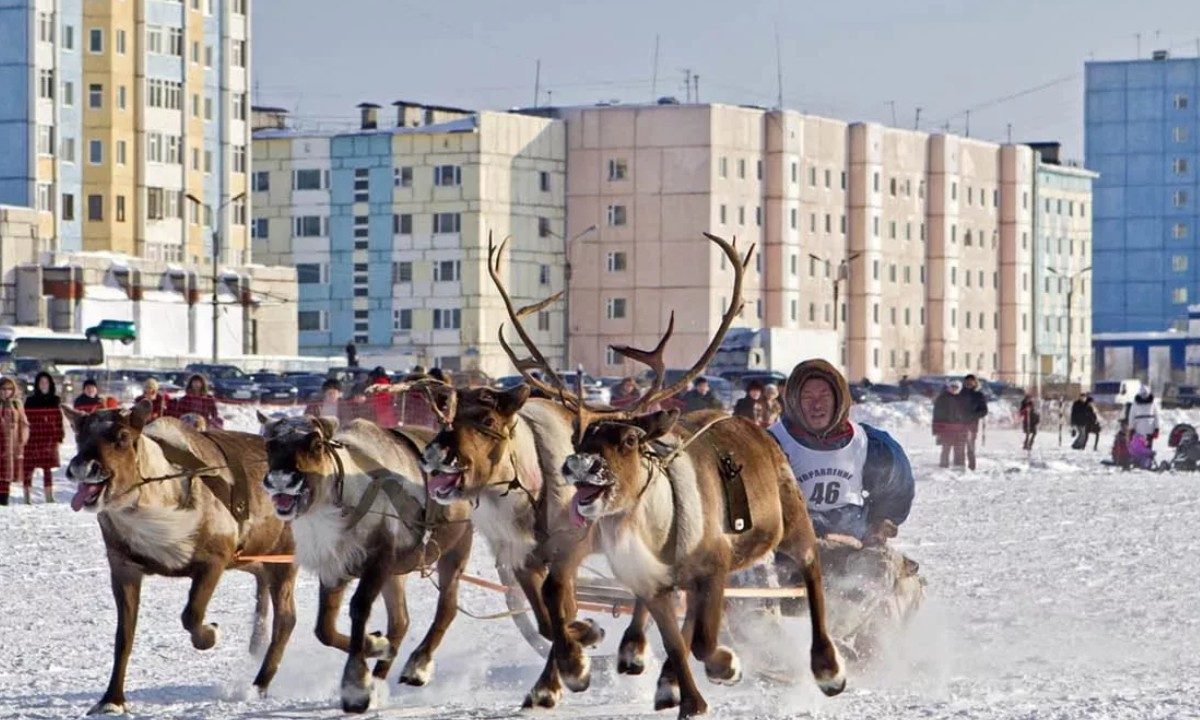 Шаманы сказали будет мороз. Часть 2 