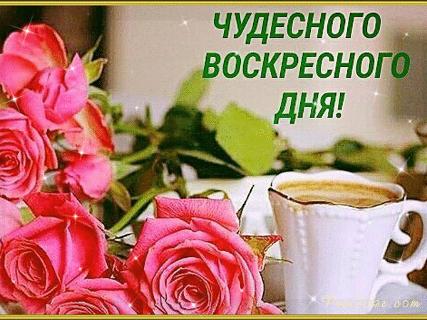 Отличного воскресенья хорошего дня картинки Отличного воскресенья хорошего дня картинки