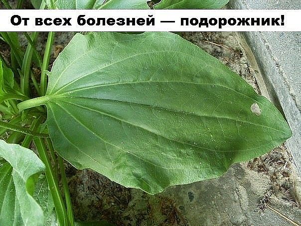 ÐаÑÑинки по запÑоÑÑ Ð¾ÑиÑÐµÐ½Ð¸Ñ Ð»Ð¸Ð¼ÑÑ Ð¿Ð¾Ð´Ð¾Ñожником