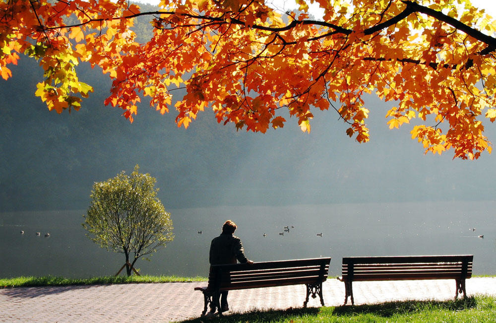 Чайная беседка