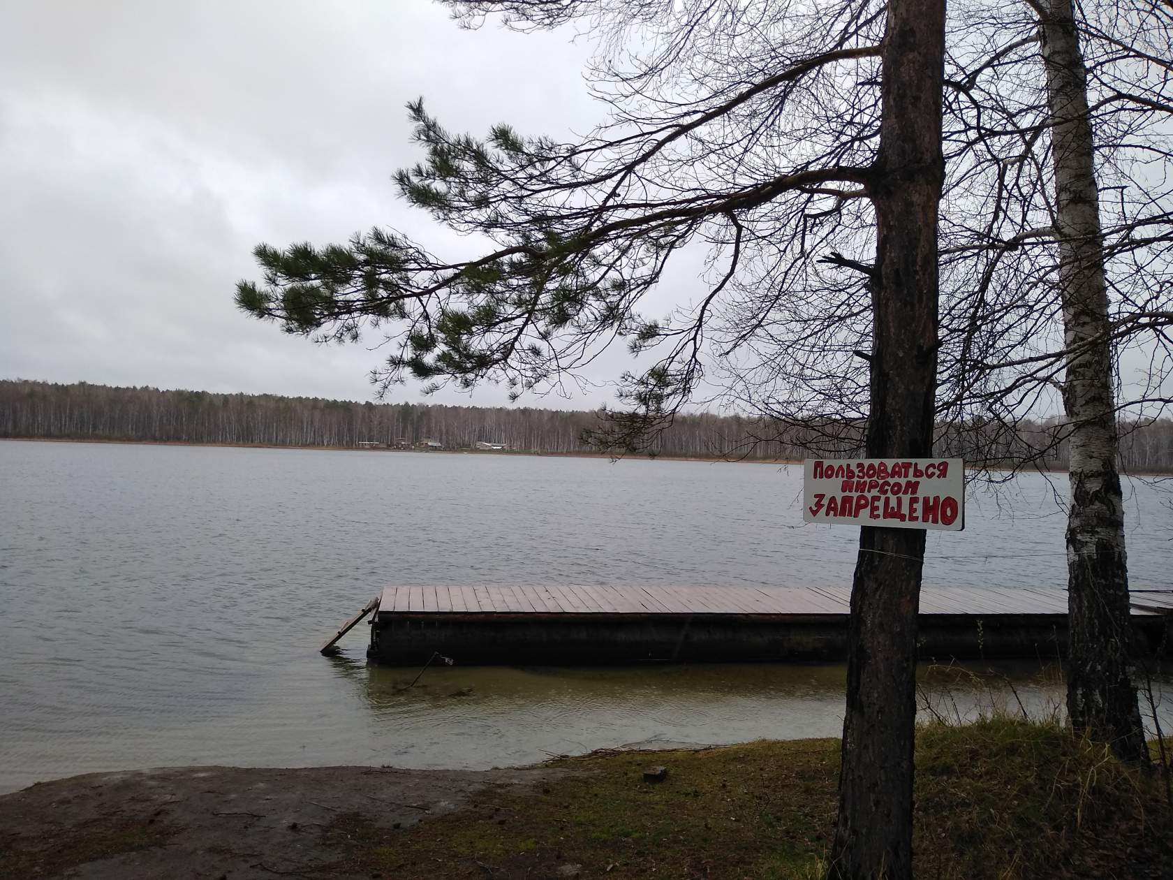 Озеро данилово область. Данилово озеро. Данилово озеро Омская. Данилово озеро Омская область база. Данилово озеро база отдыха.