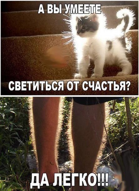 Посмеялся сам - поделись с другом!!!